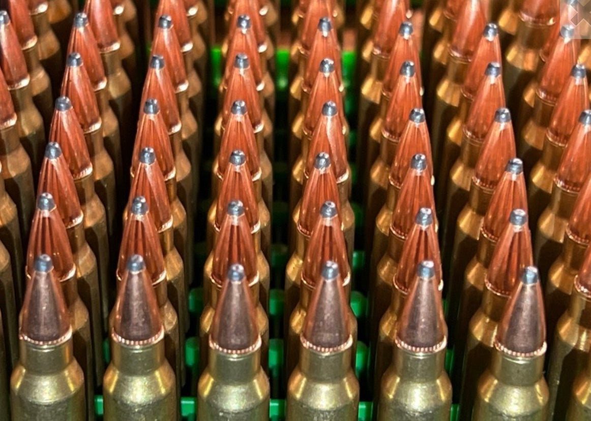 223 Remington 55 gr. SP - 50 Rounds