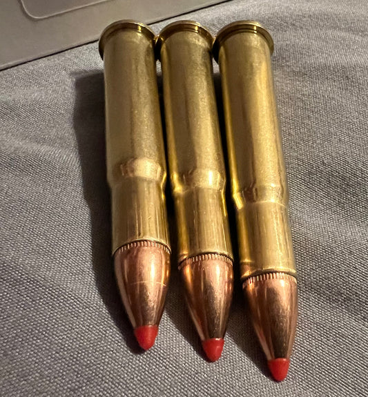 32 Winchester Special 165 gr. Hornady FTX